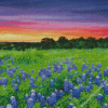 Texas Hill Country Sunset Landscape Diamond Painting