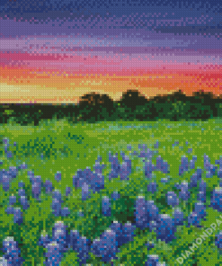 Texas Hill Country Sunset Landscape Diamond Painting