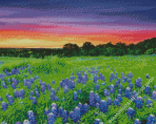 Texas Hill Country Sunset Landscape Diamond Painting