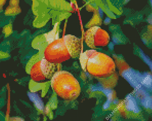 The Acorn Tree Diamond Painting