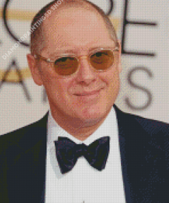 The American Actor James Spader Diamond Painting