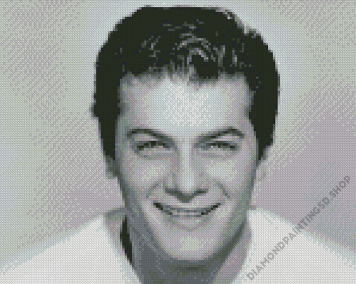 Tony Curtis Diamond Painting