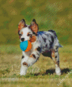 Toy Aussie Dog Diamond Painting