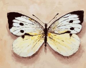 White Butterfly Diamond Painting