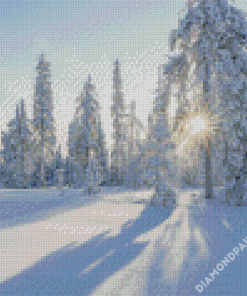 White Trees Forest Diamond Painting
