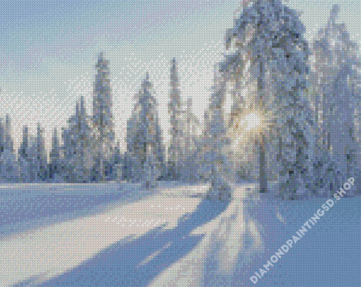 White Trees Forest Diamond Painting