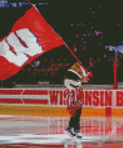 Wisconsin Badgers Hockey Diamond Painting