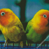 Adorable Lovebirds Diamond Painting