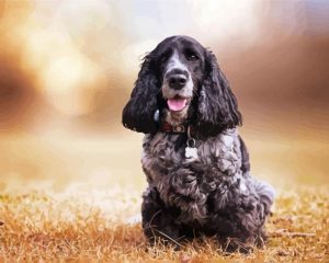 Aesthetic Black Cocker Spaniel Diamond Painting