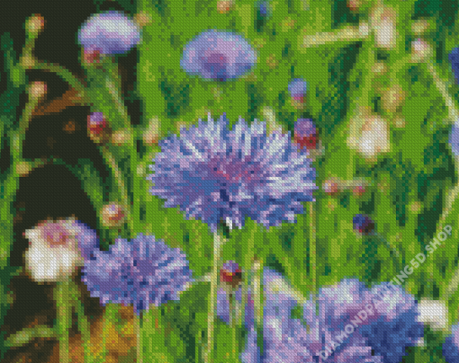 Aesthetic Corn Flower Diamond Painting