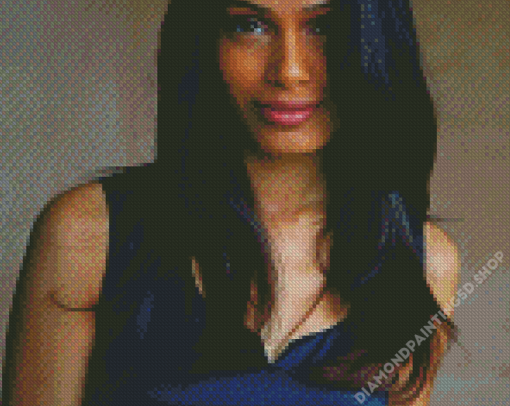 Aesthetic Freida Pinto Diamond Paintings