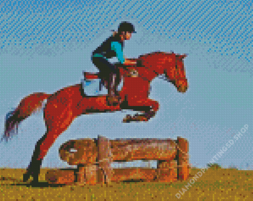 Aesthetic Horse Jump Diamond Painting