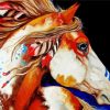 Aesthetic Native American Horse Art Diamond Painting