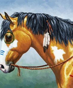 Aesthetic Native American Horse Diamond Painting