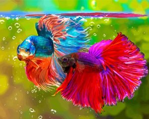 Aesthetic Siamese Fighting Fish Diamond Painting