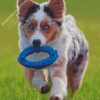 Aesthetic Toy Aussie Dog Diamond Painting