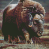 Aesthetic Muskox Art Diamond Painting