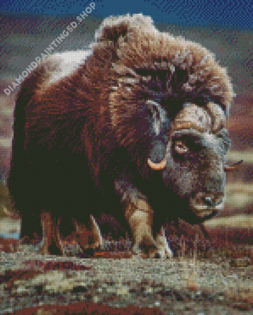 Aesthetic Muskox Art Diamond Painting