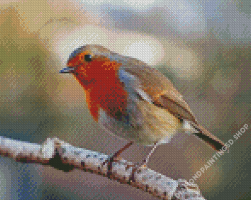 Aesthetic Robin Bird Diamond Painting