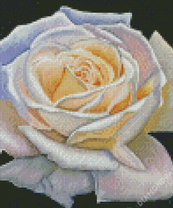 Aesthetic White Rose Art Diamond Painting