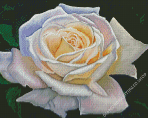 Aesthetic White Rose Art Diamond Painting