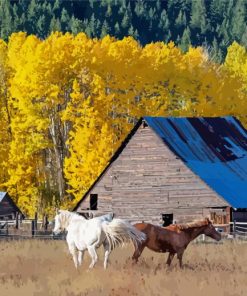 Barn And Horses Animals Diamond Painting