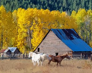 Barn And Horses Animals Diamond Painting