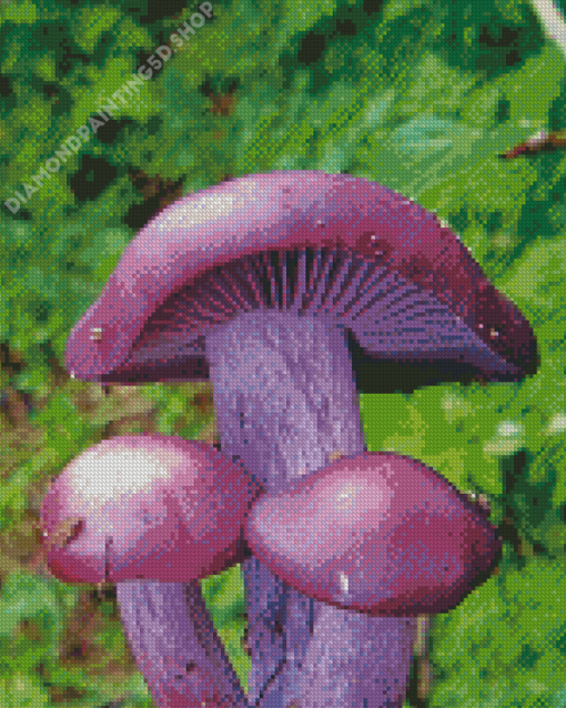 Beautiful Purple Mushroom Diamond Painting