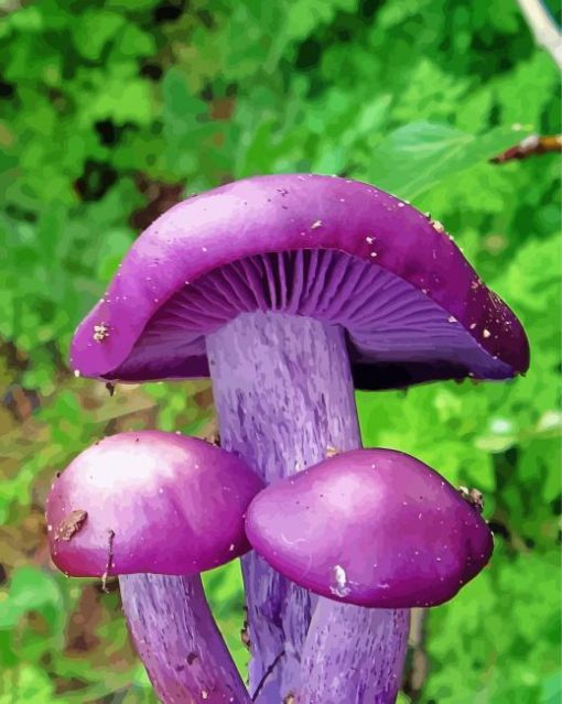 Beautiful Purple Mushroom Diamond Painting