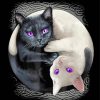 Black And White Yin Yang Cats Diamond Painting