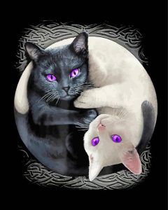 Black And White Yin Yang Cats Diamond Painting