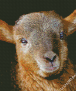 Brown Little Lamb Head Diamond Painting