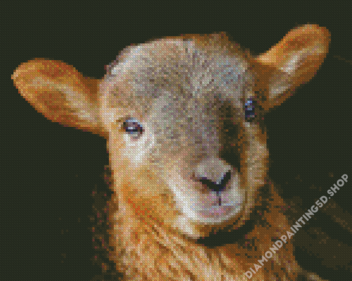 Brown Little Lamb Head Diamond Painting