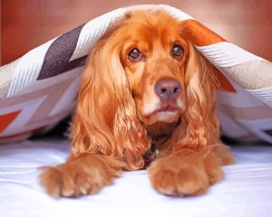 Cocker Spaniel Under Blanket Diamond Painting