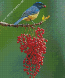 Colorful Singing Bird Diamond Painting