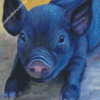 Cute Black Pig Diamond Painting