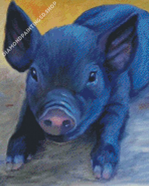 Cute Black Pig Diamond Painting