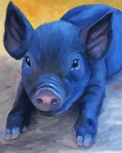 Cute Black Pig Diamond Painting