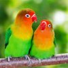 Cute Lovebirds Diamond Painting