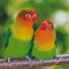 Cute Lovebirds Diamond Painting