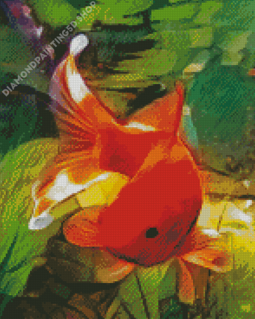 Elegant Fish Art Diamond Painting