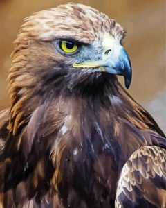 Golden Eagle Diamond Painting