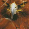 Golden Eagle Close Up Diamond Painting