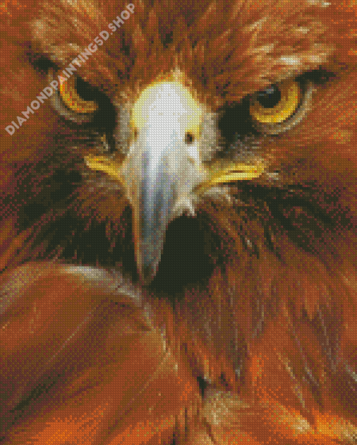 Golden Eagle Close Up Diamond Painting