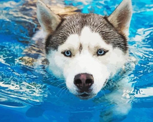 Huskey Dog In Water Diamond Painting