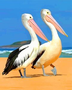 Pelicans Diamond Painting