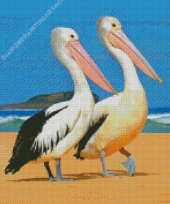 Pelicans Diamond Painting