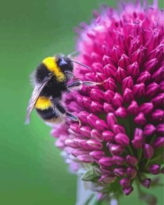 Pink Allium And Bee Diamond Painting