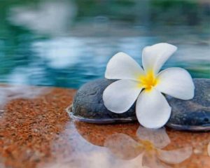 Plumeria Flower In Water Diamond Painting