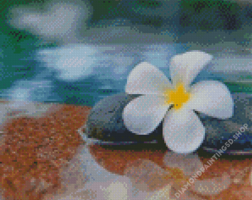 Plumeria Flower In Water Diamond Painting